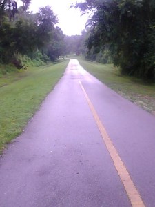 Wordpress pic