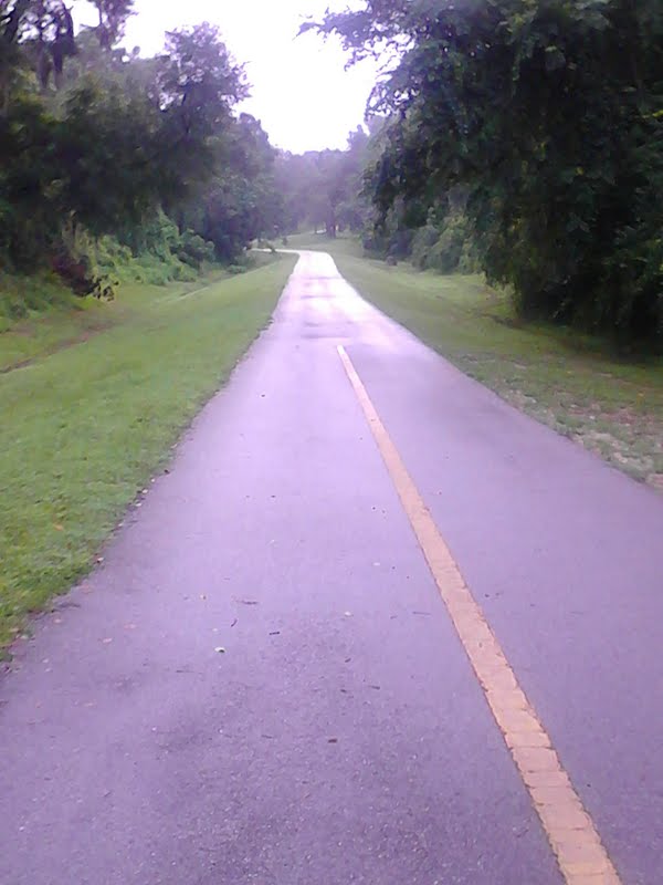 Wordpress pic